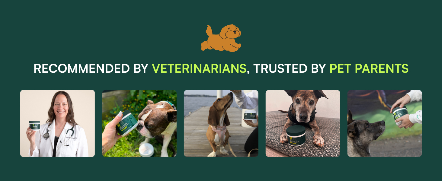 glucosamine for dogs 