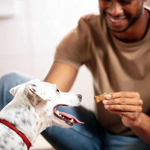 Milk-Bone Mini's Flavor Snacks Dog Treats, 36 Ounce - Image 6