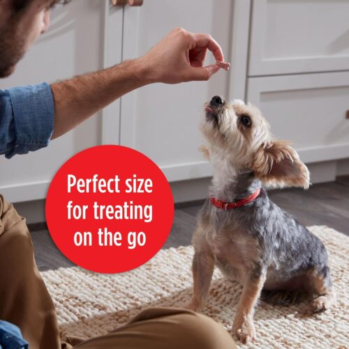 Milk-Bone Mini's Flavor Snacks Dog Treats, 36 Ounce - Image 14