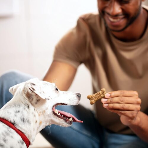 Milk-Bone Mini's Flavor Snacks Dog Treats, 36 Ounce - Image 23