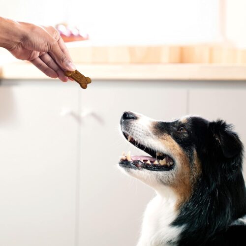 Milk-Bone Soft & Chewy Dog Treats, Beef & Filet Mignon Recipe, 25 Ounce - Image 29
