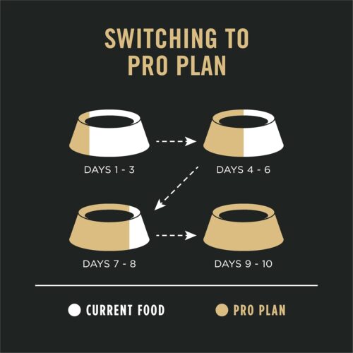 Purina Pro Plan Sensitive Skin and Stomach Dog Food Dry, Adult Salmon & Rice Formula, Digestive Health - 30 lb. Bag - Image 10