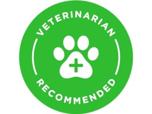 veterinarian