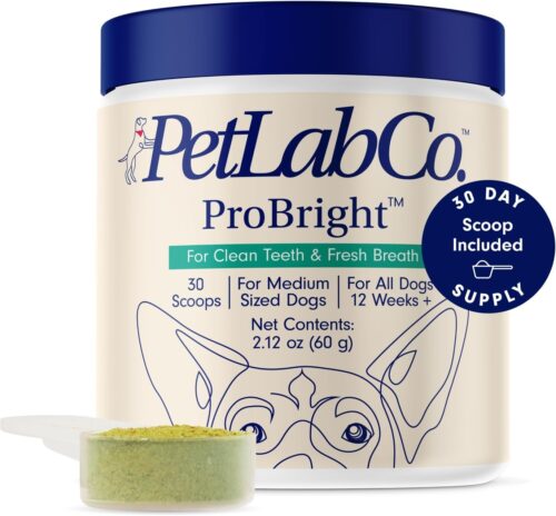 PetLab Co. ProBright Dental Powder - Dog Breath Freshener - Teeth Cleaning Made Easy – Targets Tartar & Bad Breath - Formulated for Small Dogs - Image 10
