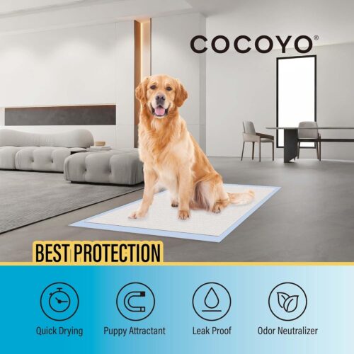 COCOYO Best Value 22"x22" Dog Training Pads 50 Count | Dog Pee Pads | Super Absorbent Puppy Pads,White - Image 4