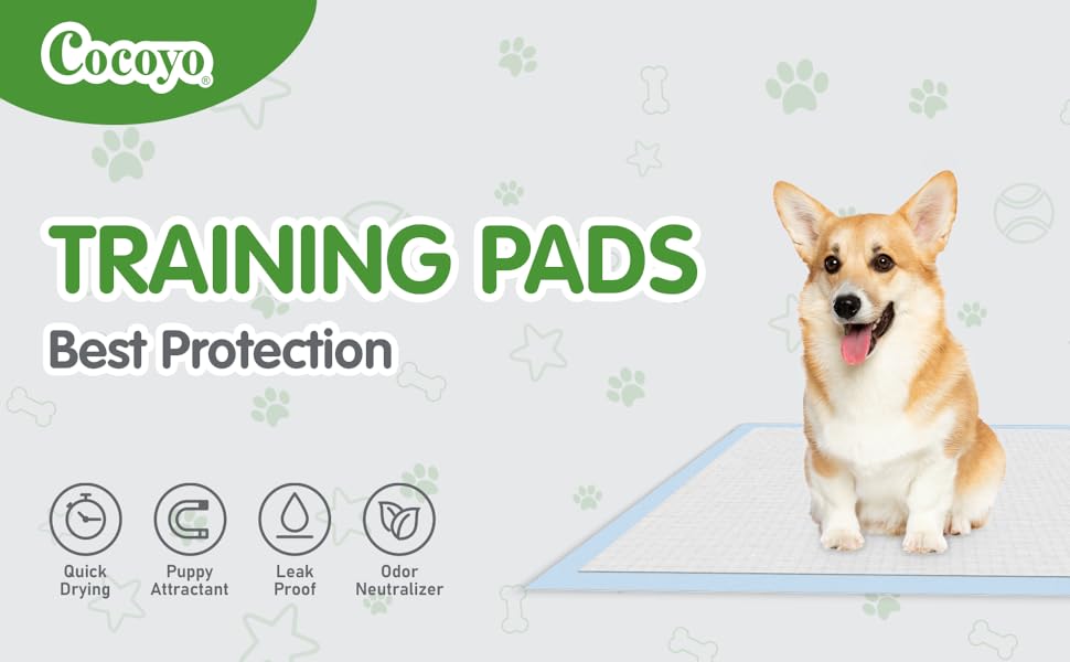 pet training pads