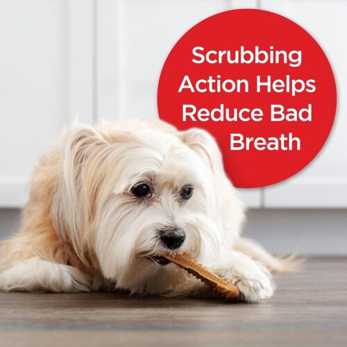 Milk-Bone Brushing Chews Daily Dental Dog Treats, Chicken Flavor, Large, 25 Count - Image 13
