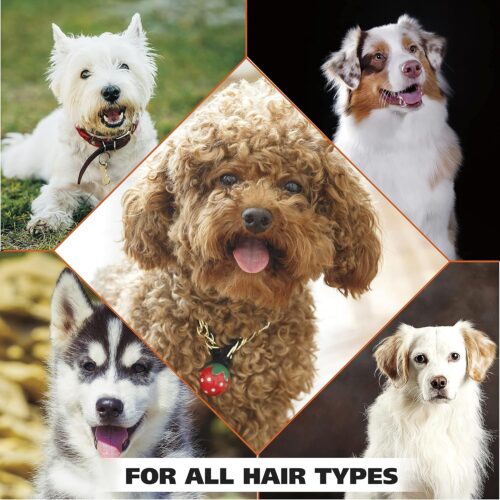 Wahl USA Dry Skin & Itch Relief Pet Shampoo for Dogs – Oatmeal Formula with Coconut Lime Verbena & Pet Friendly Formula, 24 Oz - Model 820004A - Image 17
