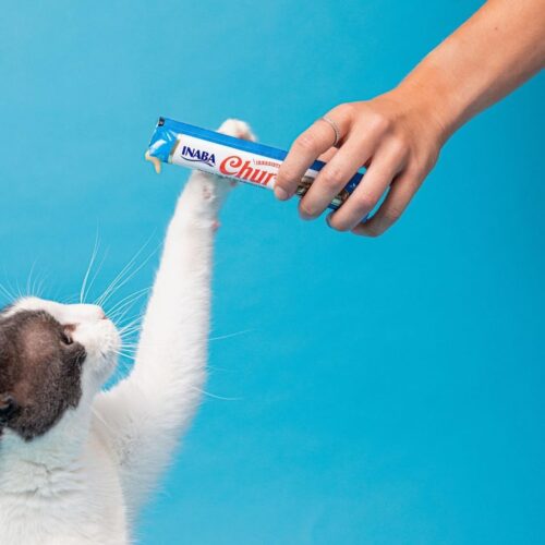 INABA Churu Cat Treats, Grain-Free, Lickable, Squeezable Creamy Purée Cat Treat/Topper with Vitamin E & Taurine, 0.5 Ounces Each Tube, 50 Tubes, Tuna & Chicken Variety - Image 37