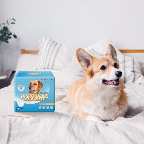 HONEY CARE All-Absorb A26 Male Dog Wrap, 50 Count, Small - Image 17