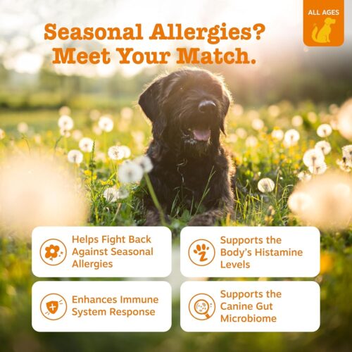 Zesty Paws Dog Allergy Relief- Dog Itching Skin Relief- Dog Probiotics for Itchy Skin and Itchy Ears- Dog Allergy Paw Relief- Dog Allergy Chews- Dog Itch Relief - Dog Skin Allergy Relief - Lamb - 90ct - Image 2