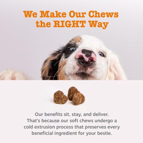 Zesty Paws Dog Allergy Relief- Dog Itching Skin Relief- Dog Probiotics for Itchy Skin and Itchy Ears- Dog Allergy Paw Relief- Dog Allergy Chews- Dog Itch Relief - Dog Skin Allergy Relief - Lamb - 90ct - Image 8