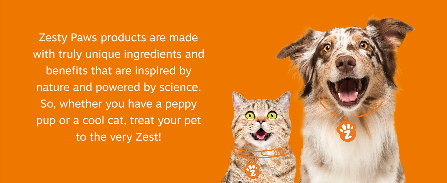 pets prime day amazon prime day deals today prime day deals dog treats dog bones prime day