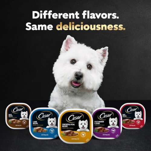 CESAR Adult Wet Dog Food Classic Loaf in Sauce Grilled Chicken, Filet Mignon, Porterhouse Steak, Beef, Chicken & Liver and Turkey Variety Pack, 3.5 oz. Easy Peel Trays, Pack of 36 - Image 9