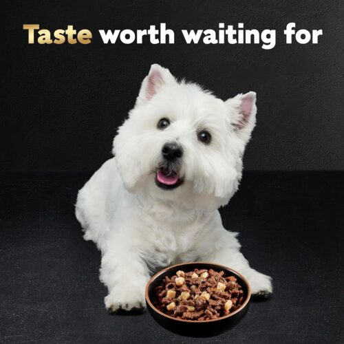 CESAR Adult Wet Dog Food Classic Loaf in Sauce Grilled Chicken, Filet Mignon, Porterhouse Steak, Beef, Chicken & Liver and Turkey Variety Pack, 3.5 oz. Easy Peel Trays, Pack of 36 - Image 18