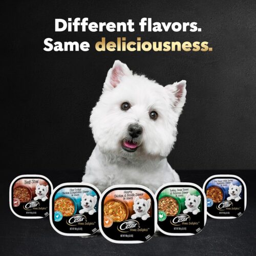 CESAR Adult Wet Dog Food Classic Loaf in Sauce Grilled Chicken, Filet Mignon, Porterhouse Steak, Beef, Chicken & Liver and Turkey Variety Pack, 3.5 oz. Easy Peel Trays, Pack of 36 - Image 20