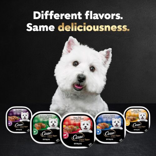 CESAR Adult Wet Dog Food Classic Loaf in Sauce Grilled Chicken, Filet Mignon, Porterhouse Steak, Beef, Chicken & Liver and Turkey Variety Pack, 3.5 oz. Easy Peel Trays, Pack of 36 - Image 48