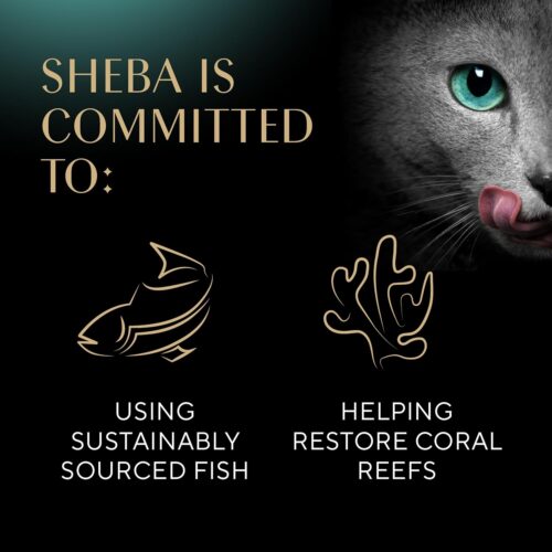 Sheba Perfect Portions Wet Cat Food Pate With Sustainable Salmon, Signature Seafood Entree, and Tender White Fish and Tuna Entree Variety Pack, 2.6 oz. Twin Pack Trays (24 Count, 48 Servings) - Image 7