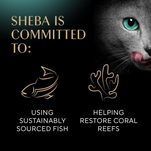 Sheba Perfect Portions Wet Cat Food Pate With Sustainable Salmon, Signature Seafood Entree, and Tender White Fish and Tuna Entree Variety Pack, 2.6 oz. Twin Pack Trays (24 Count, 48 Servings) - Image 47