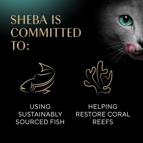 Sheba Perfect Portions Wet Cat Food Pate With Sustainable Salmon, Signature Seafood Entree, and Tender White Fish and Tuna Entree Variety Pack, 2.6 oz. Twin Pack Trays (24 Count, 48 Servings) - Image 58