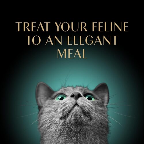 Sheba Perfect Portions Wet Cat Food Pate With Sustainable Salmon, Signature Seafood Entree, and Tender White Fish and Tuna Entree Variety Pack, 2.6 oz. Twin Pack Trays (24 Count, 48 Servings) - Image 62