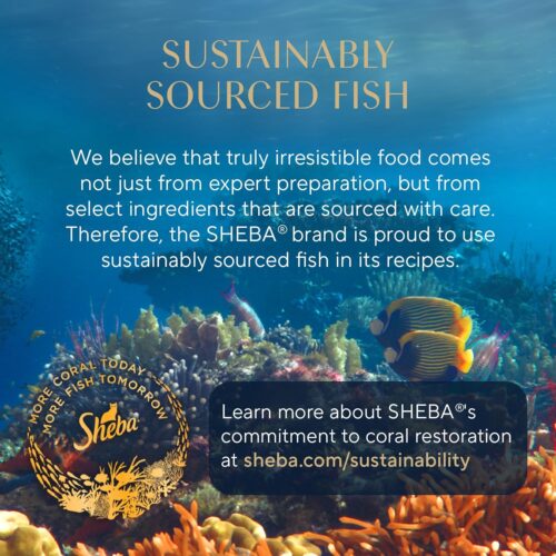 Sheba Perfect Portions Wet Cat Food Pate With Sustainable Salmon, Signature Seafood Entree, and Tender White Fish and Tuna Entree Variety Pack, 2.6 oz. Twin Pack Trays (24 Count, 48 Servings) - Image 63