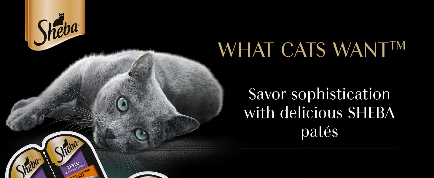 Sheba pate wet cat food