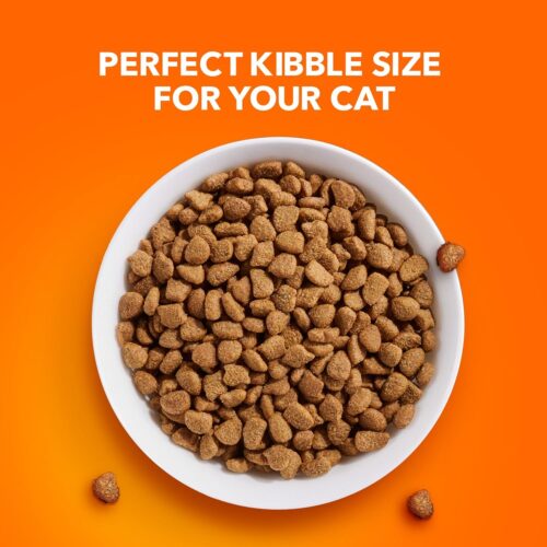 IAMS Proactive Health Indoor Weight & Hairball Care Adult Dry Cat Food with Chicken & Turkey, 7 lb. Bag - Image 43