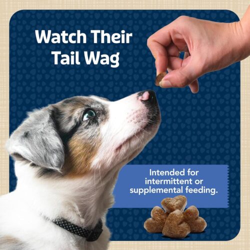 Blue Buffalo Bits Soft Dog Treats for Training, Made With Natural Ingredients & Enhanced with DHA, Chicken Recipe, 19-oz Bag - Image 8