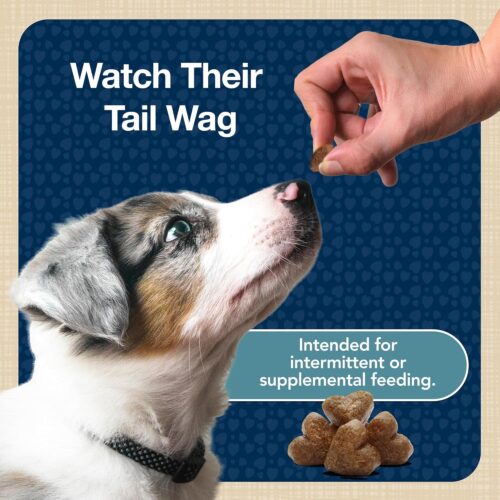 Blue Buffalo Bits Soft Dog Treats for Training, Made With Natural Ingredients & Enhanced with DHA, Chicken Recipe, 19-oz Bag - Image 18