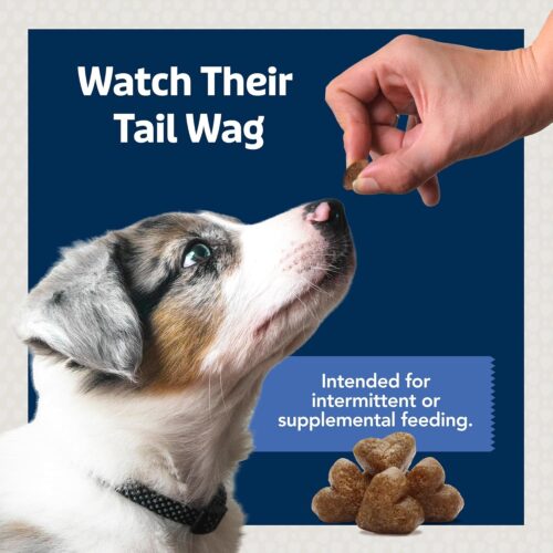 Blue Buffalo Bits Soft Dog Treats for Training, Made With Natural Ingredients & Enhanced with DHA, Chicken Recipe, 19-oz Bag - Image 27