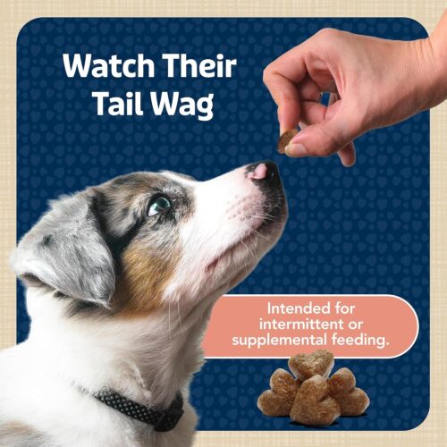Blue Buffalo Bits Soft Dog Treats for Training, Made With Natural Ingredients & Enhanced with DHA, Chicken Recipe, 19-oz Bag - Image 37