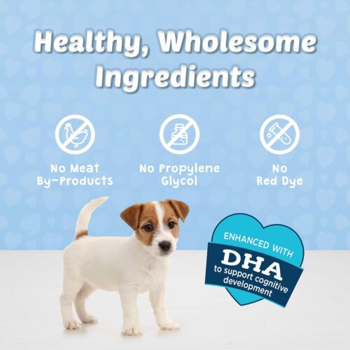 Blue Buffalo Bits Soft Dog Treats for Training, Made With Natural Ingredients & Enhanced with DHA, Chicken Recipe, 19-oz Bag - Image 99