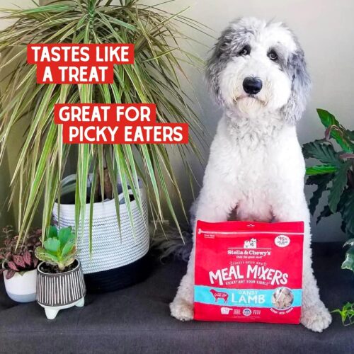Stella & Chewy's Freeze-Dried Raw Chicken Meal Mixers- Dog Food Topper and Mixer - Made with 95% Cage-Free Chicken, Organs & Bone - Perfect for Picky Eaters - Grain-Free - 3.5oz - Image 19