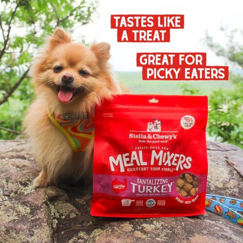 Stella & Chewy's Freeze-Dried Raw Chicken Meal Mixers- Dog Food Topper and Mixer - Made with 95% Cage-Free Chicken, Organs & Bone - Perfect for Picky Eaters - Grain-Free - 3.5oz - Image 26