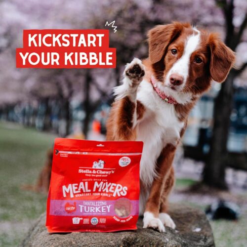 Stella & Chewy's Freeze-Dried Raw Chicken Meal Mixers- Dog Food Topper and Mixer - Made with 95% Cage-Free Chicken, Organs & Bone - Perfect for Picky Eaters - Grain-Free - 3.5oz - Image 27