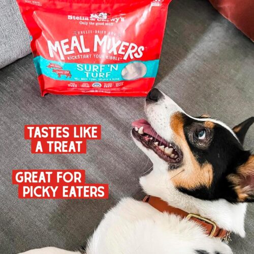 Stella & Chewy's Freeze-Dried Raw Chicken Meal Mixers- Dog Food Topper and Mixer - Made with 95% Cage-Free Chicken, Organs & Bone - Perfect for Picky Eaters - Grain-Free - 3.5oz - Image 31