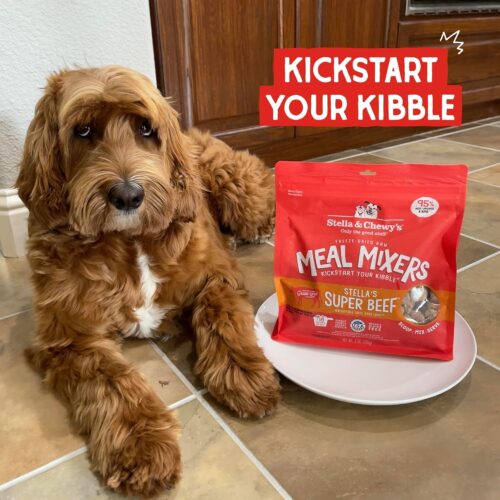 Stella & Chewy's Freeze-Dried Raw Chicken Meal Mixers- Dog Food Topper and Mixer - Made with 95% Cage-Free Chicken, Organs & Bone - Perfect for Picky Eaters - Grain-Free - 3.5oz - Image 36
