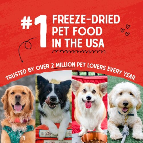 Stella & Chewy's Freeze-Dried Raw Chicken Meal Mixers- Dog Food Topper and Mixer - Made with 95% Cage-Free Chicken, Organs & Bone - Perfect for Picky Eaters - Grain-Free - 3.5oz - Image 68