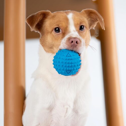 Best Pet Supplies Crinkle Dog Toy for Small, Medium, and Large Breeds, Cute No Stuffing Duck with Soft Squeaker, Fun for Indoor Puppies and Senior Pups, Plush No Mess Chew and Play - Yellow - Image 11