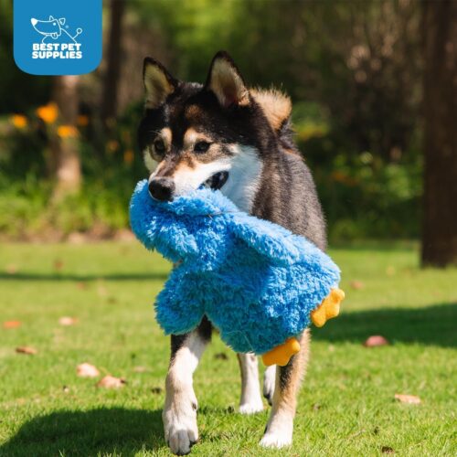 Best Pet Supplies Crinkle Dog Toy for Small, Medium, and Large Breeds, Cute No Stuffing Duck with Soft Squeaker, Fun for Indoor Puppies and Senior Pups, Plush No Mess Chew and Play - Yellow - Image 16