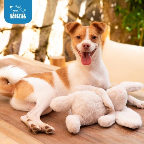 Best Pet Supplies Crinkle Dog Toy for Small, Medium, and Large Breeds, Cute No Stuffing Duck with Soft Squeaker, Fun for Indoor Puppies and Senior Pups, Plush No Mess Chew and Play - Yellow - Image 23