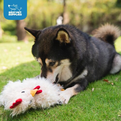Best Pet Supplies Crinkle Dog Toy for Small, Medium, and Large Breeds, Cute No Stuffing Duck with Soft Squeaker, Fun for Indoor Puppies and Senior Pups, Plush No Mess Chew and Play - Yellow - Image 32