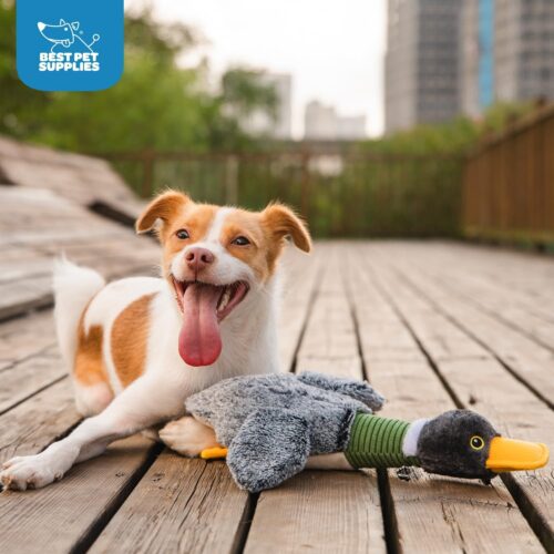 Best Pet Supplies Crinkle Dog Toy for Small, Medium, and Large Breeds, Cute No Stuffing Duck with Soft Squeaker, Fun for Indoor Puppies and Senior Pups, Plush No Mess Chew and Play - Yellow - Image 48