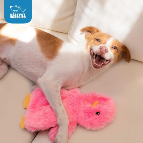 Best Pet Supplies Crinkle Dog Toy for Small, Medium, and Large Breeds, Cute No Stuffing Duck with Soft Squeaker, Fun for Indoor Puppies and Senior Pups, Plush No Mess Chew and Play - Yellow - Image 69