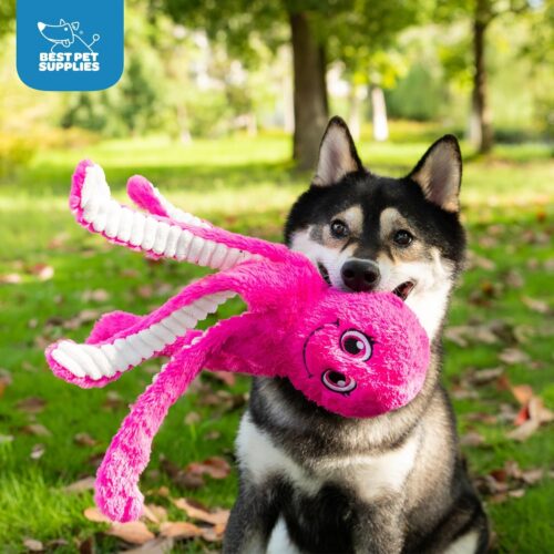 Best Pet Supplies Crinkle Dog Toy for Small, Medium, and Large Breeds, Cute No Stuffing Duck with Soft Squeaker, Fun for Indoor Puppies and Senior Pups, Plush No Mess Chew and Play - Yellow - Image 93