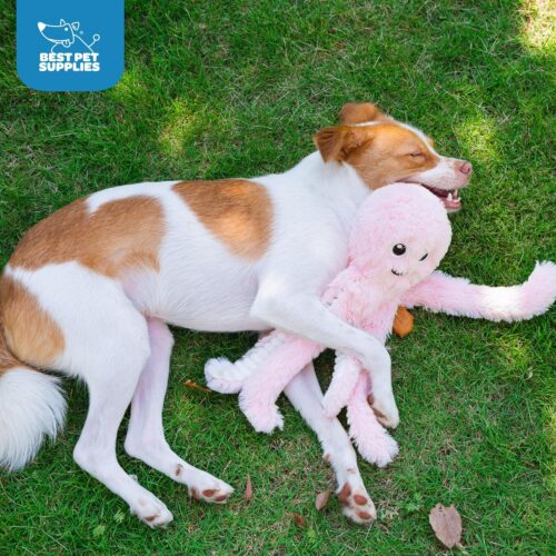 Best Pet Supplies Crinkle Dog Toy for Small, Medium, and Large Breeds, Cute No Stuffing Duck with Soft Squeaker, Fun for Indoor Puppies and Senior Pups, Plush No Mess Chew and Play - Yellow - Image 111