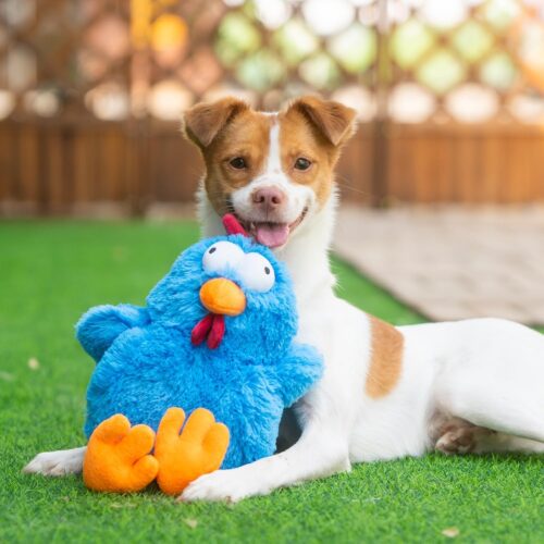 Best Pet Supplies Crinkle Dog Toy for Small, Medium, and Large Breeds, Cute No Stuffing Duck with Soft Squeaker, Fun for Indoor Puppies and Senior Pups, Plush No Mess Chew and Play - Yellow - Image 154