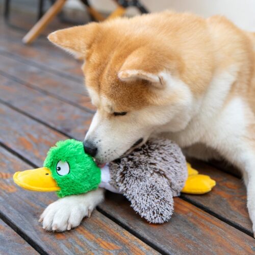Best Pet Supplies Crinkle Dog Toy for Small, Medium, and Large Breeds, Cute No Stuffing Duck with Soft Squeaker, Fun for Indoor Puppies and Senior Pups, Plush No Mess Chew and Play - Yellow - Image 160