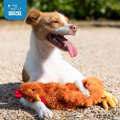 Best Pet Supplies Crinkle Dog Toy for Small, Medium, and Large Breeds, Cute No Stuffing Duck with Soft Squeaker, Fun for Indoor Puppies and Senior Pups, Plush No Mess Chew and Play - Yellow - Image 183